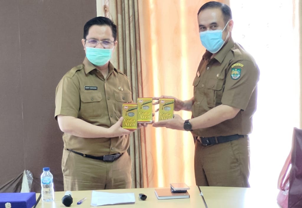 Direktur RSUD Rohul dan Tim Casemix Kunjungan Kerja ke RSUD Tengku Rafian Siak