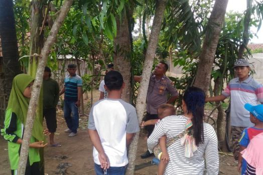 Ajaib! Ada Suara Perempuan Menangis dari dalam Pohon, Begini Cerita Awalnya