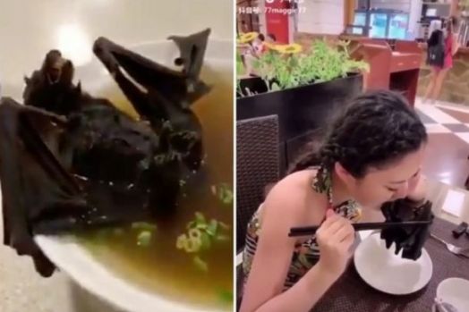Videonya Viral, Wanita Cantik yang Makan Sop Kelelawar Minta Maaf, 'Saya Tidak Tahu Itu Sumber Virus'