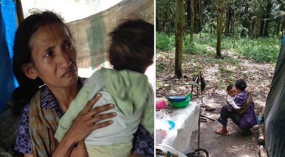 LAGI HEBOH,  Warga Temukan Seorang Ibu dan Dua Bayinya  Tinggal Gubuk Plastik di Tengah Hutan Karet di Pelalawan