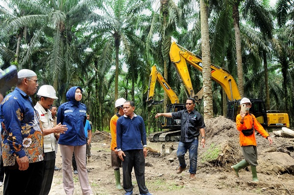 Tanam Perdana Bibit Sawit Peremajaan Sawit Rakyat di Pontian Mekar Mulai Dilaksanakan