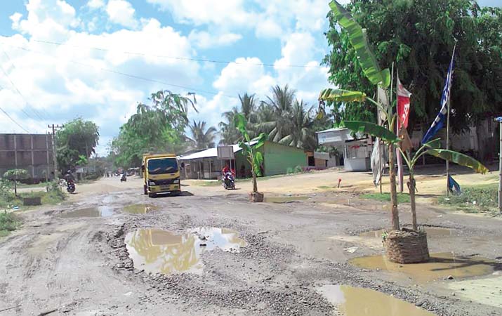 Tak Kunjung Diperbaiki, Warga Perawang Marah, Tanam Pisang di Tengah Jalan Rusak