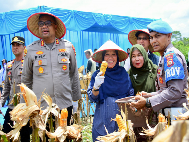 Kadis Pertanian Kampar Laksanakan Panen Raya Jagung Pipil Kuartal I 2026