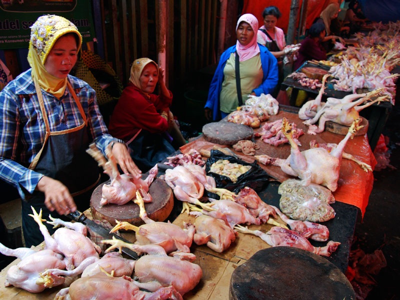 Jelang Lebaran Haji, Harga Daging di Pelalawan Masih Stabil