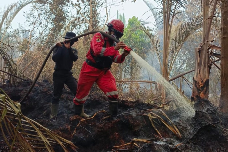 Bupati Meranti Minta Masyarakat Tak Melawan Hukum Terkait Karhutla