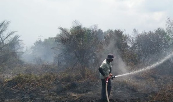 Tim Gabungan Berupaya  Padamkan 10 Hektare Karhutla di  HGU Perusahaan di Gondai