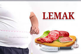 Asam Lemak Jenuh Yang Wajib Diketahui