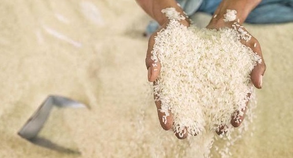 Bulog Pastikan Stok Beras Medium di Riau Aman Hingga 6 Bulan ke Depan