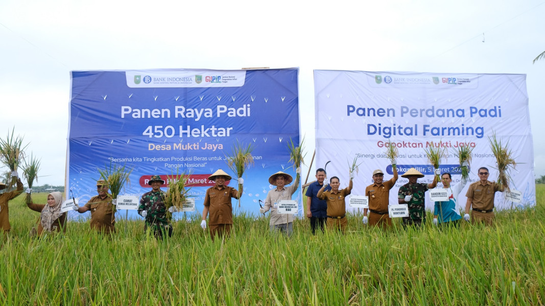 BI Riau Bersama TPID Rohil Panen Raya Padi dan Panen Perdana Demplot Digital Farming di Desa Mukti Jaya