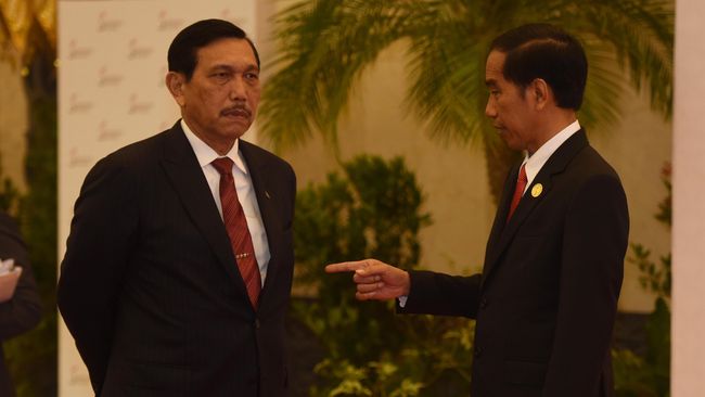 Minta Jokowi Setop Impor Garam, Pengamat: Luhut Cuci Tangan, kan Tinggal Buat Keputusan, Kok Minta Presiden
