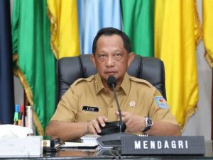 24 Daerah di Indonesia Akan Lakukan PSU, Mendagri Imbau Jaga Kamtibmas