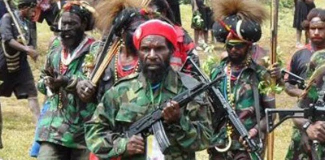 Tak Kerahkan TNI Tumpas Separatis Papua, Jendral Bintang Tiga Ini Bilang Jangan Tunggu Makar Digoreng Jadi Politik, Ini Kedaulatan Bangsa 