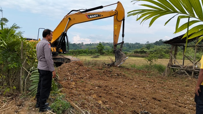 Polsek Kuantan Mudik Lakukan Penggemburan Lahan Jagung di  Koto Gunung