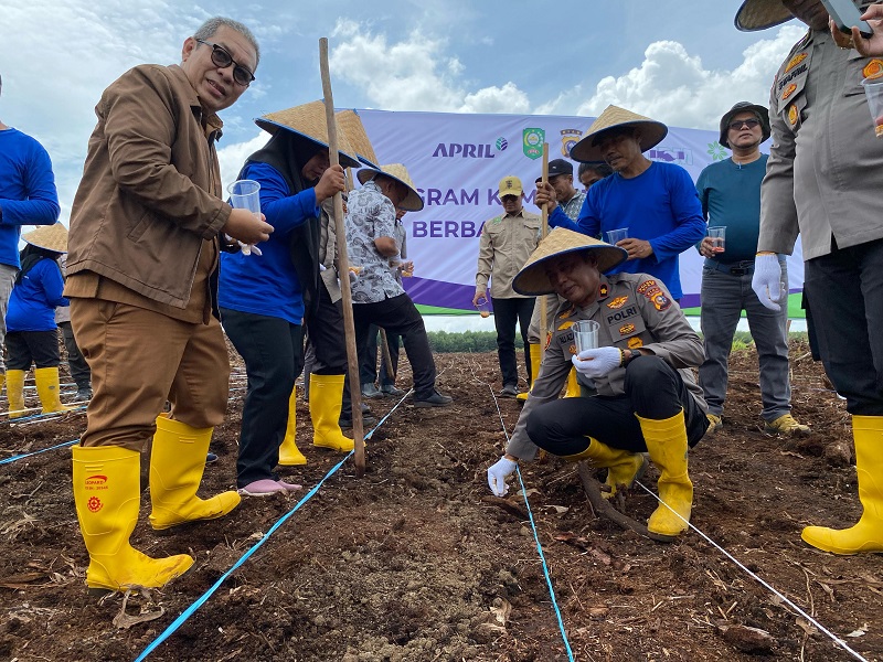 Sinergi Pemerintah, Swasta, dan Masyarakat: Penanaman Jagung Perdana di Dayun Wujud Kolaborasi Dukung Asta Cita