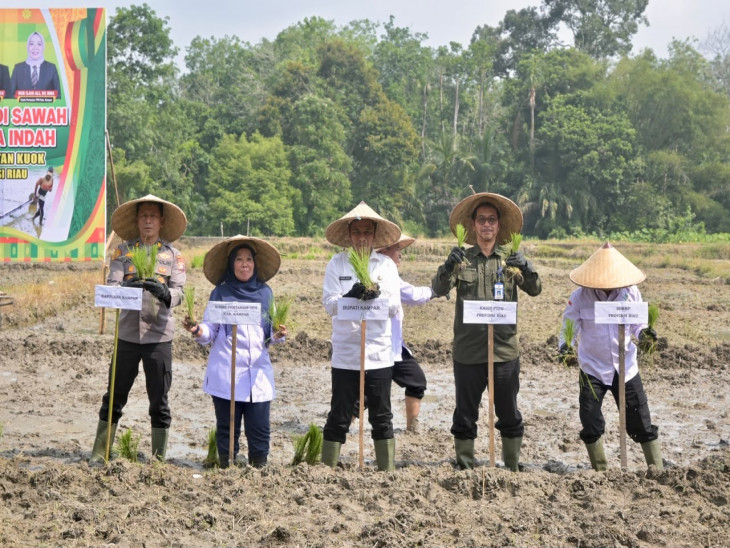 Bupati Kampar Canangkan Gerakan Tanam PADI Sawah Di Gapoktan Karya Indah Desa Empat Balai, Dorong Swasembada Pangan Dan Modernisasi Pertanian