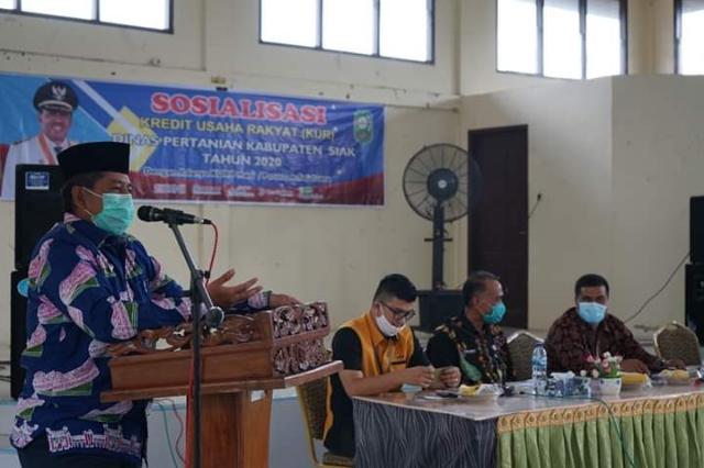 Ikut Terkena Dampak Covid-19, Bupati Alfedri Ajak Petani Manfaatkan Program KUR Guna Kembangkan Usaha