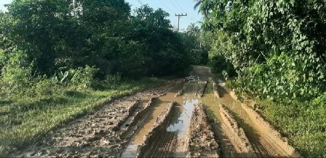 Kondisi Jalan Poros  Kuantan Hilir Seberang dan Inuman- Cerenti Rusak Parah, Begini Penampakannya...