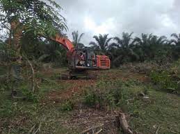 RAPP Bantuan Excavator Untuk Masyarakat Kampar Kiri Agar Optimalkan Lahan Untuk Agrowis