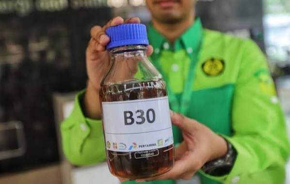 Gara-gara B30, Indonesia Jadi Trendsetter di Malaysia dan Brazil