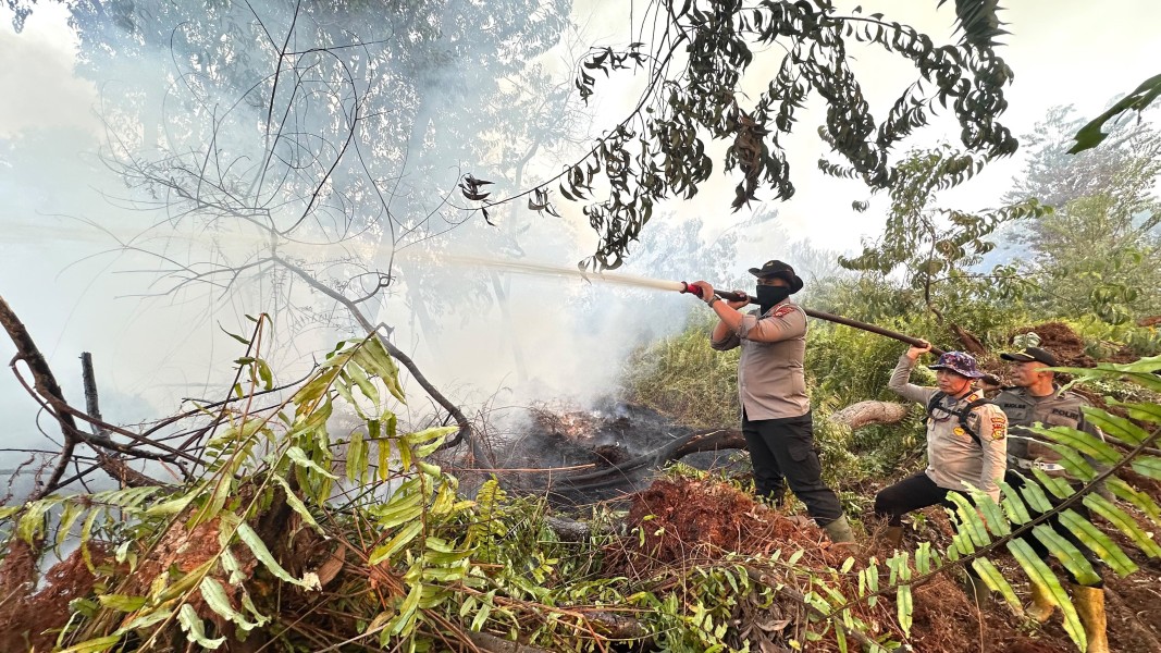 Tim Gabungan Padamkan Karhutla 10 Hektare di Lahan Gambut Pelalawan