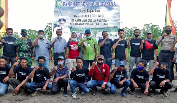 Hasilkan 70-80 Juta Tiap Panen, Begini Sumringah Bupati Siak Lihat Semangat Warganya di Dusun Pusaka