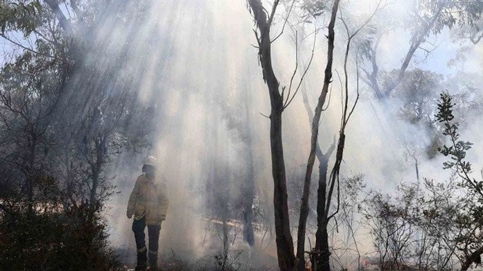 Riau Cabut Status Siaga Darurat Karhutla, 299 Persen Luas Kebakaran Padam