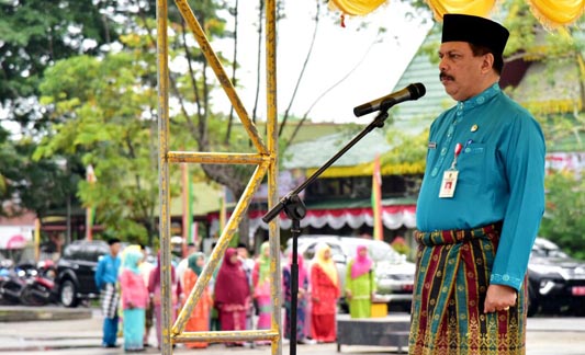 Pimpin Upacara HUT Riau ke-60, Ini Pesan Sekda Inhil