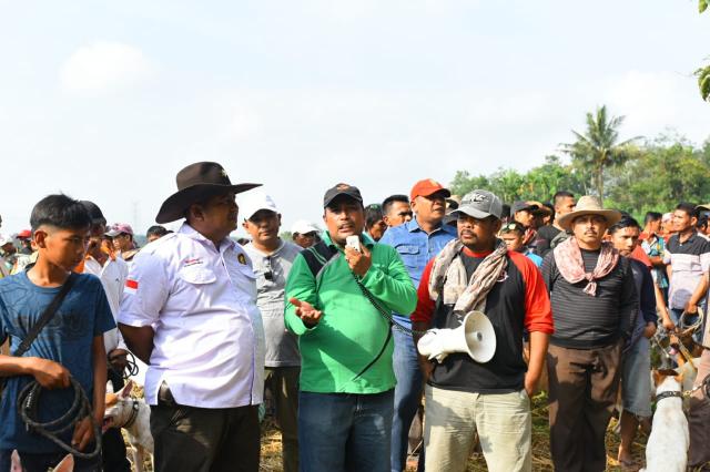 Ratusan Anjing Pemburu Dilepas, Bersihkan Hama Babi di Kampar