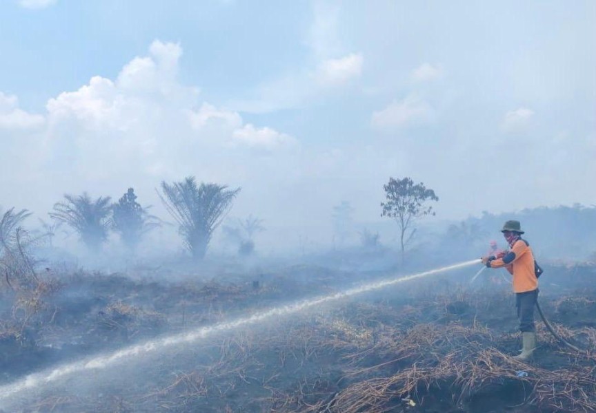 Sebanyak 26.000 Kilogram Garam Sudah Disemai di Langir Riau