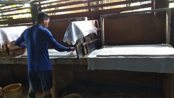 Harga Kedelai Meroket, Produsen Tahu di Pekanbaru Kurangi Produksi