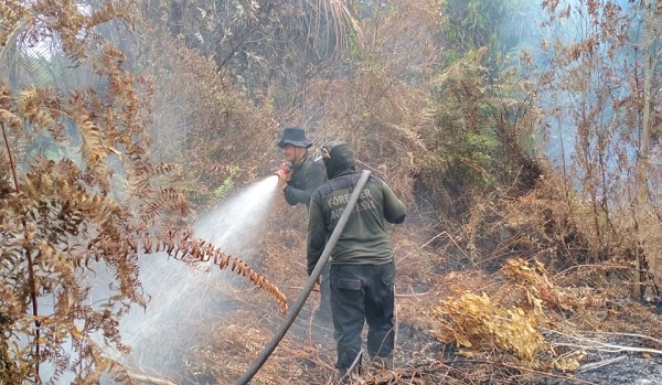Bantu Padamkan Karhutla, PT RAPP Kerahkan Tim Fire Fighter di 5 Lokasi di Siak