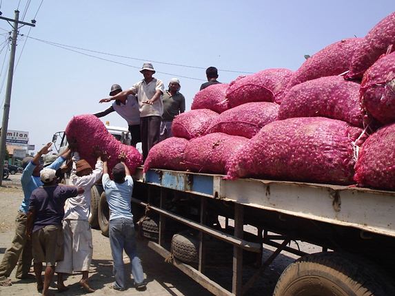 Marak Penyelundupan, Pelabuhan Dumai Bakal Jadi Pintu Masuk Resmi Bawang Impor