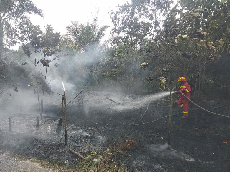 Di Pangkalan Kerinci Kebakaran Lahan Kembali Berkobar, hingga Malam Belum Padam 