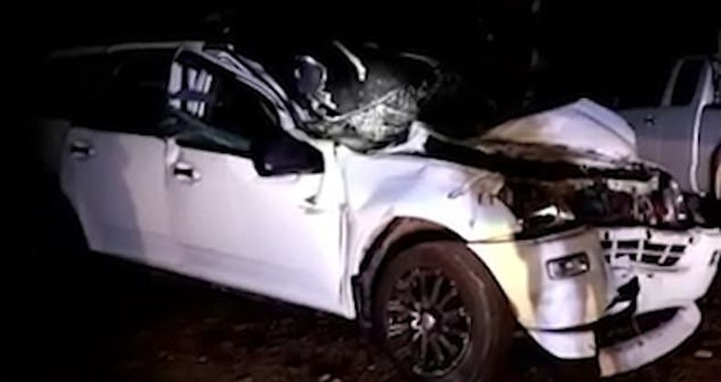 MENGAMUK... Gajah Injak Pengemudi hingga Tewas, Mobilnya Hancur, Begini Kondisinya