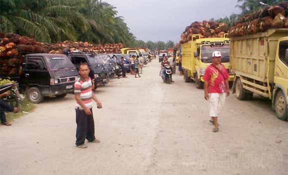 Gubri Sorot Minimnya Kontribusi Perusahaan Sawit Bidang Infrastruktur