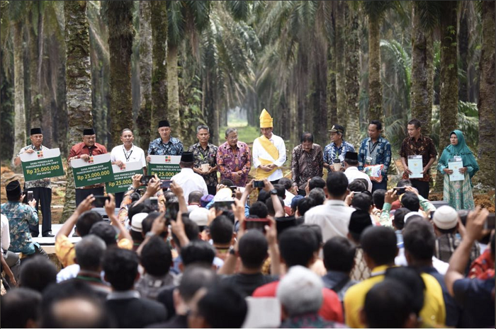 Presiden Joko Widodo Serahkan Dana Peremajaan pada  Petani Plasma  Binaan Asian Agri