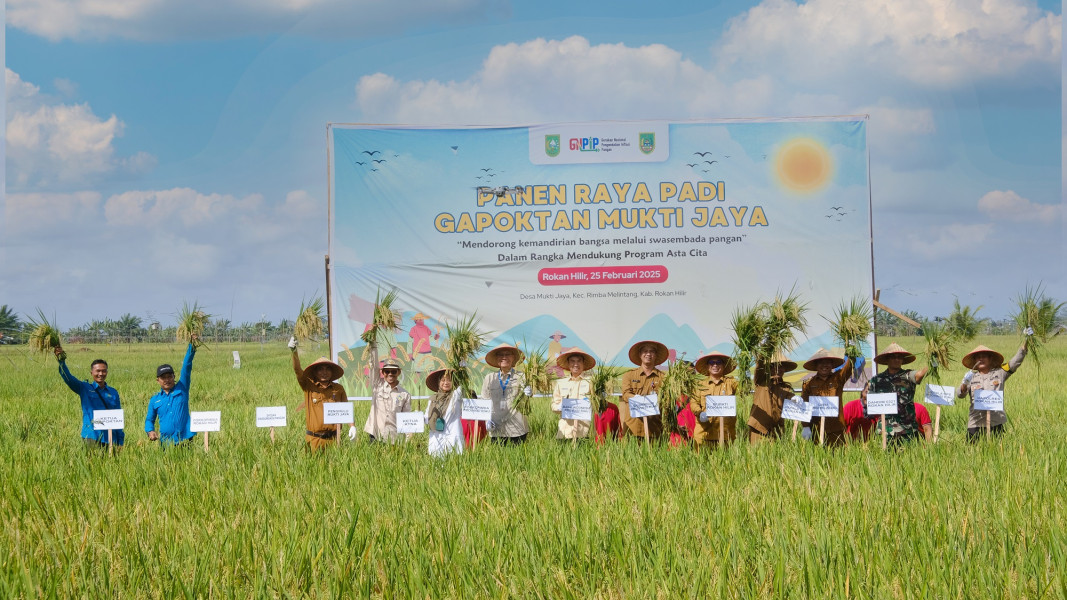 BI Riau Panen Raya Padi Gapoktan Mukti Jaya di Rokan Hilir