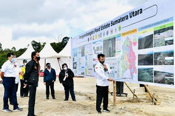 Menko Luhut Tegaskan Lahan Lumbung Pangan di Sumut Tak Ganggu Hutan Lindung