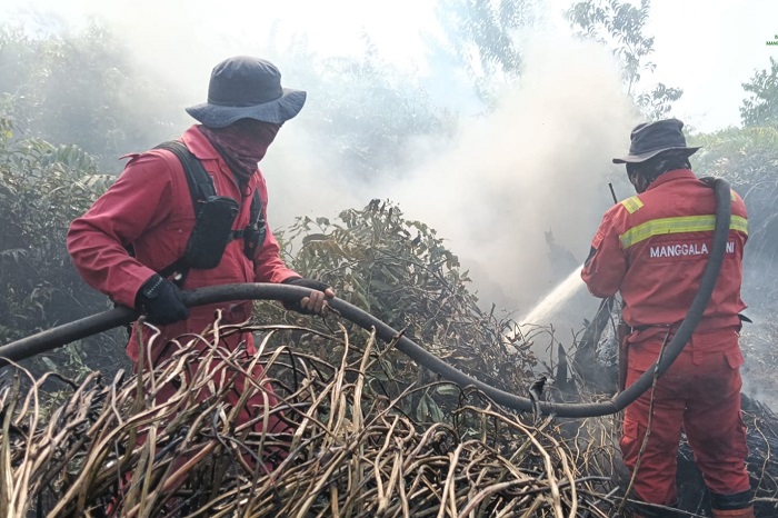 Pemkab Pelalawan Tetapkan Status Tanggap Darurat Bencana Karhutla