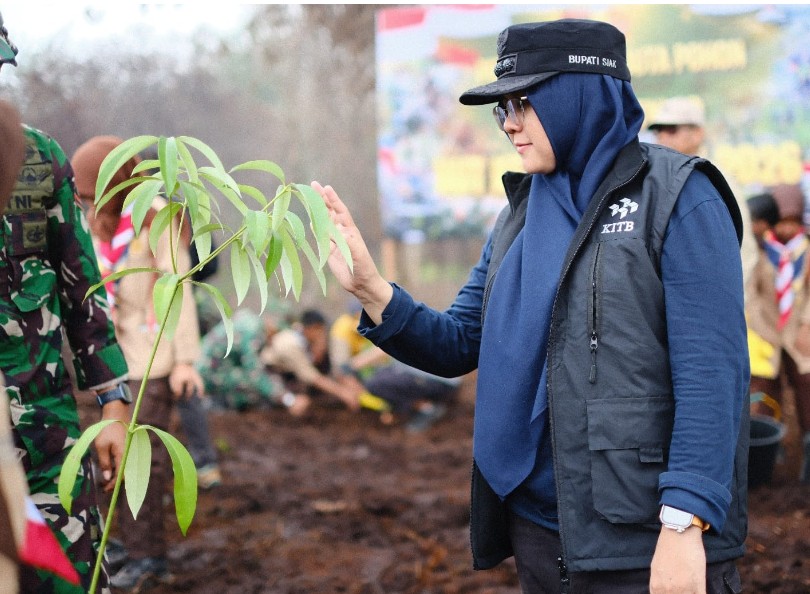 Bupati Afni Tanam Pohon di Lahan Bekas Karhutla upaya Penghijauan dan Menghindari Alih Fungsi Hutan