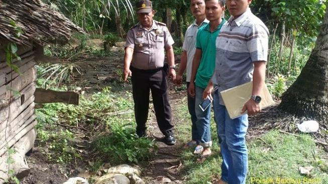 GEGER...12 Ekor Kambing Milik Warga Hilang Misterius, Isi Perutnya Berserakan