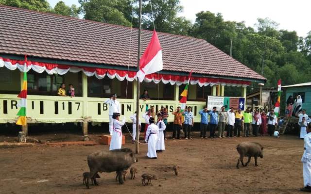 Heboh! Kawanan Babi Hutan Masuk ke Lapangan saat Siswa SD Upacara HUT Ke-74 RI, Bu Guru Bilang Begini