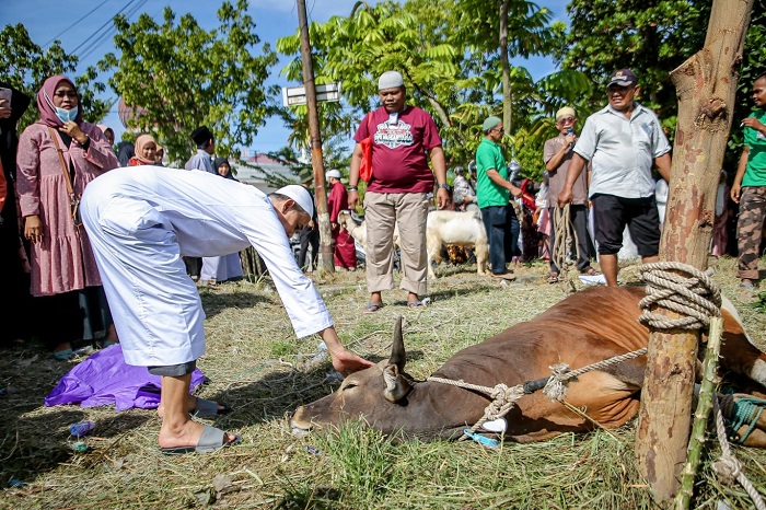 Usai Salat Idul Adha di Taman Bukit Gelanggang, Wako dan Keluarga TInjau Penyembelihan Hewan Kurban di Beberapa Lokasi