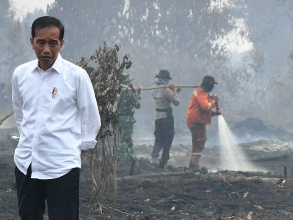 Berhasil Tangani Karhutla, Presiden Jokowi Minta Daerah Lain Contoh Riau