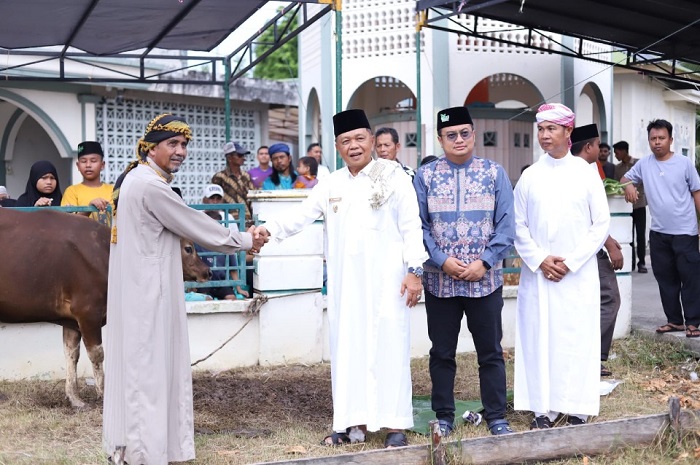 Bupati Asmar Serahkan Langsung Sapi Kurban Presiden ke Panitia Masjid Ar-Rahmah