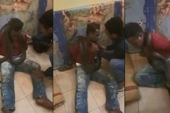 Interogasi Terduga Pelaku Jambret Gunakan Ular,  Kapolres Jayawijaya Minta Maaf