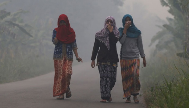 Kabut Asap Karhutla, Pemkab Bengkalis Bagikan 8 Ribu Masker untuk Warga Pulau Rupat