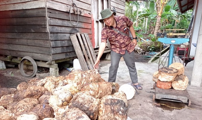 Buat Toke  Karet, Segini Harga Bokar Minggu Ini