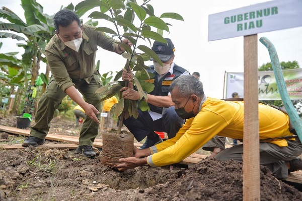 Serahkan 10.000 Bibit Pohon dan Uang Pembinaan, Gubri Gaungkan Santripreneur