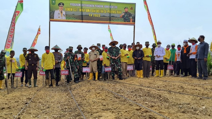 Wakil Bupati Hadiri Penanaman Program Ketahanan Pangan Kodim 0321 Rohil